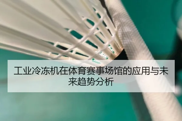 工业冷冻机在体育赛事场馆的应用与未来趋势分析