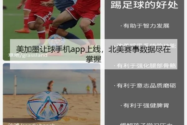 美加墨让球手机app上线，北美赛事数据尽在掌握