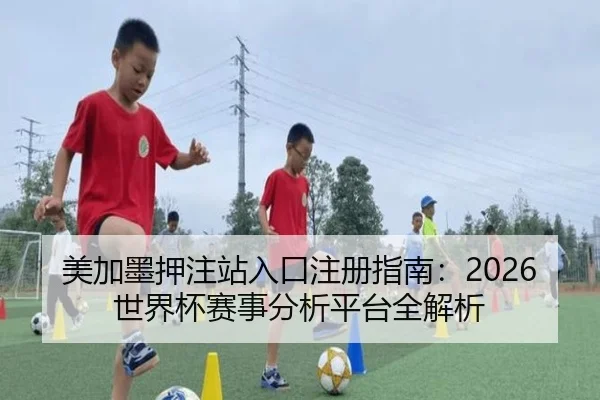 美加墨押注站入口注册指南：2026世界杯赛事分析平台全解析